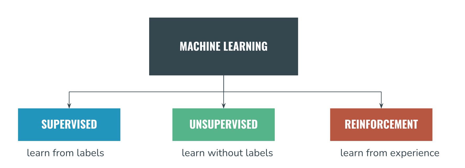 19 Machine Learning Types You Need To Know Advanced Mindmap 